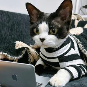 小猿百事通头像