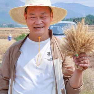岐山洪霖头像