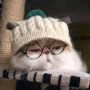 呕心教主头像