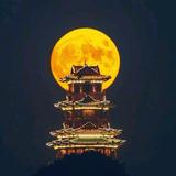 杭州大趋势头像