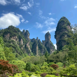 张家界旅农彭哥头像