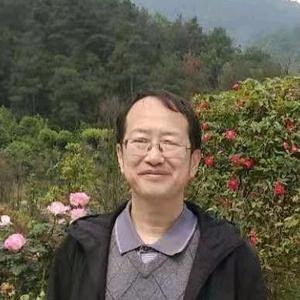 雁南征头像