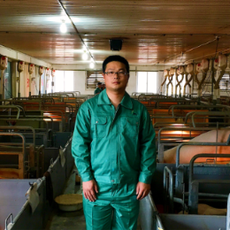 老丁养猪助手头像