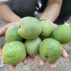 阿威头像