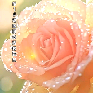 珠英头像