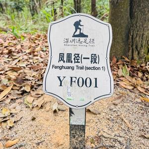 与您同行头像