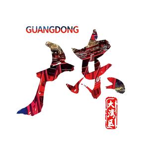 飞粤大湾区头像
