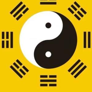董向阳678头像