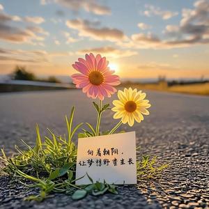 敏感的毛毛虫头像