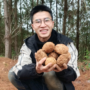 瑶家小易头像