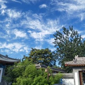 旭日东升头像