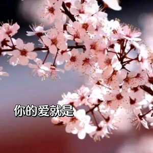 egg头像