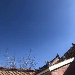 是妈妈头像