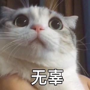 小麦利头像