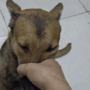 爱生活的沙滩wE头像