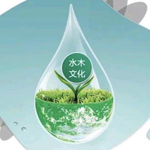涅磐重生头像