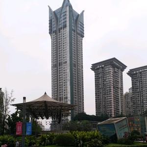 陈绍华chenshaohua729头像