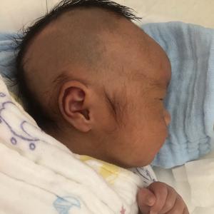 小黎谱17头像