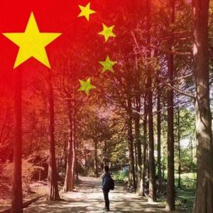 摘星不如摘草莓头像