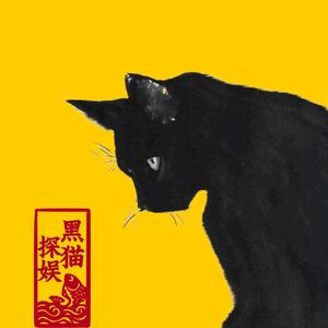 黑猫探娱头像