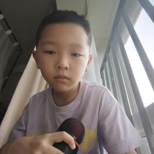 喵喵喵飞起来头像