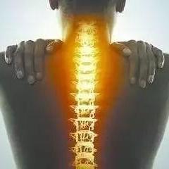 脊髓损伤小知识6头像