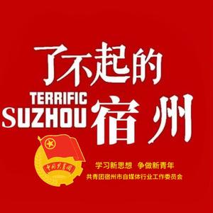 了不起的宿州头像
