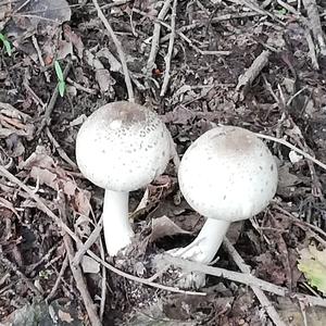 红尘紫陌0312头像