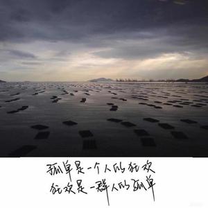 A洪波头像