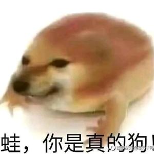 万能的黄小时头像