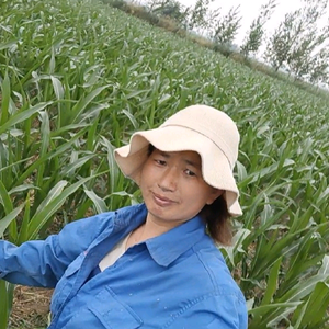 淼晶妈妈要努力头像