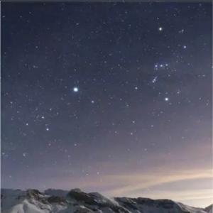 天狼星金阳头像
