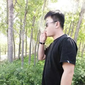 小飞在努力头像