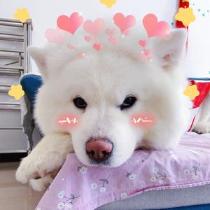 村儿里最可爱头像