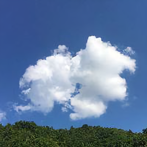 时空胶囊头像