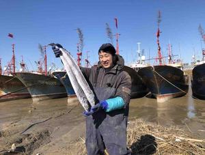 海鲜情元哥头像