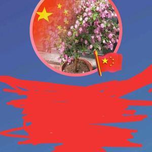 自乐贾头像