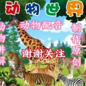 老表动物配音头像