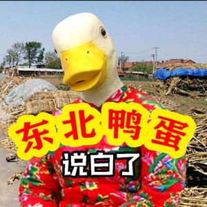 东北鸭蛋说白了1头像