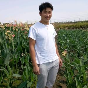 绍兴柯桥艺术漆微水泥施工头像