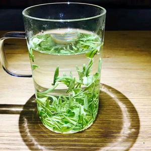 缇爱好茶头像