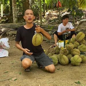 万宁南林农村绿色果园电子商务网店头像