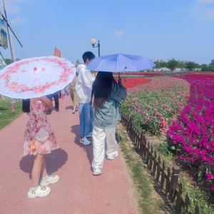 冯了个冯头像