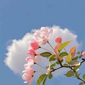一一头像