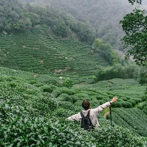 国风摄影木木头像