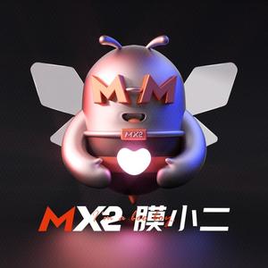 MX2膜小二隐形车衣头像