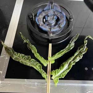 活着就好头像
