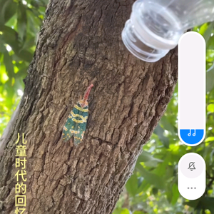 火辣辣的话事人头像