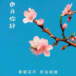Xf头像