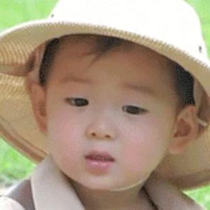 古运河畔的杨柳头像